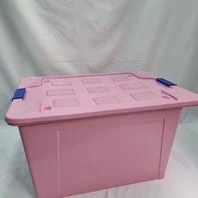 Cargar imagen en el visor de la galería, Caja Iris grande 55L - Alica
